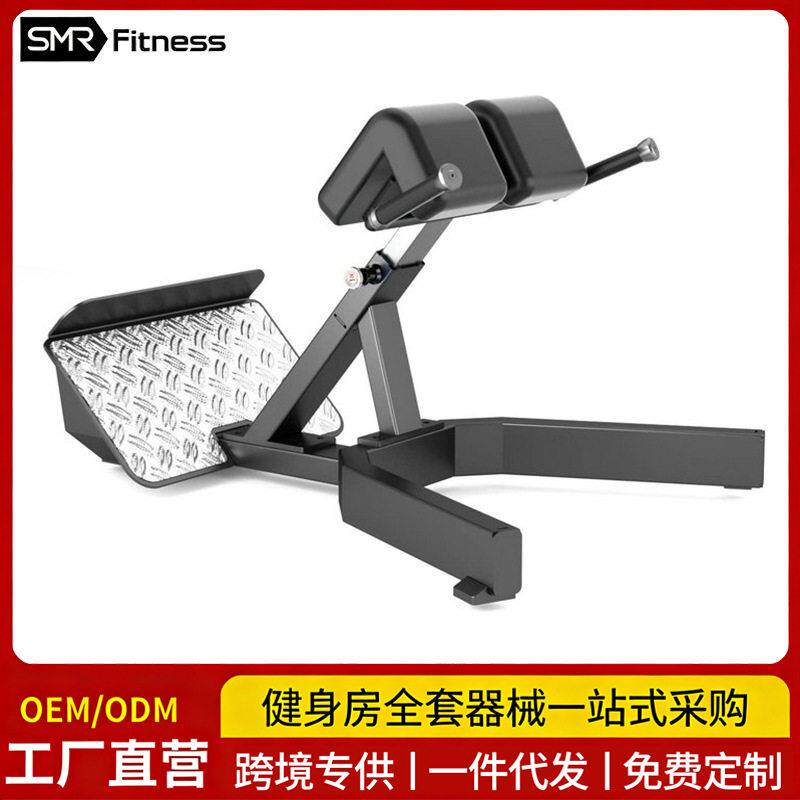 健身房商用罗马椅牧师椅多功能腹肌板伸展器坐式小腿推肩凳哑铃凳