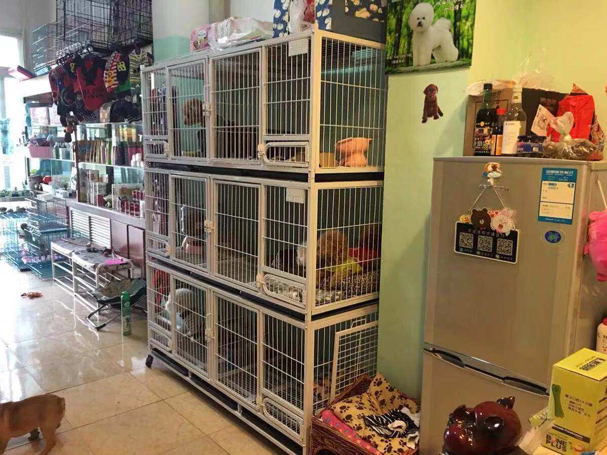金奥笼具笼子猫笼家用狗笼鸽笼兔笼隔断子母繁殖笼小型犬一二三层