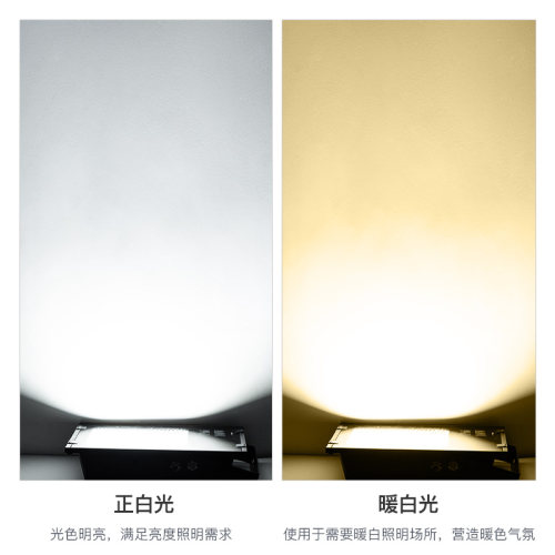 30瓦50W投光灯led户外地灯绿色黄光照树灯景观灯室外庭院防水射灯