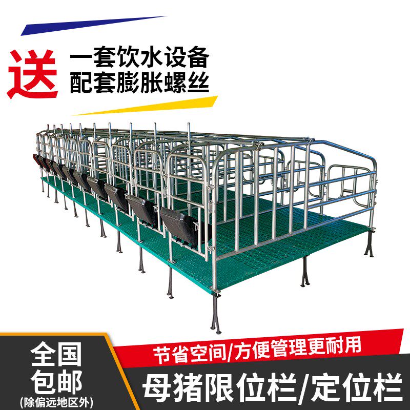 母猪定位栏猪场用限位栏产床落地式带复合漏粪板畜牧养殖设备厂家