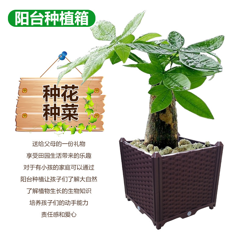 7代 特大加深种植箱 花槽长方形塑料大花盆瓜果树葡萄花箱种菜盆