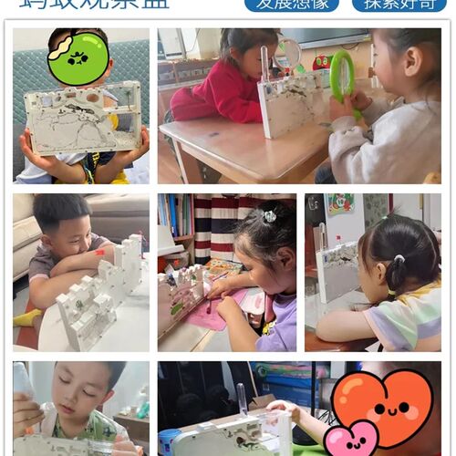 蚂蚁城堡工坊超大型蚂蚁生态箱送蚁后学生观察繁殖版蚁巢窝宠物