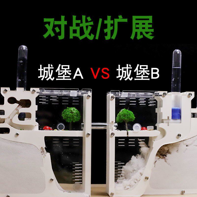 蚂蚁城堡超大蚂蚁生态箱王国对战屋蚂蚁工坊巢穴观察送蚁后蚁巢