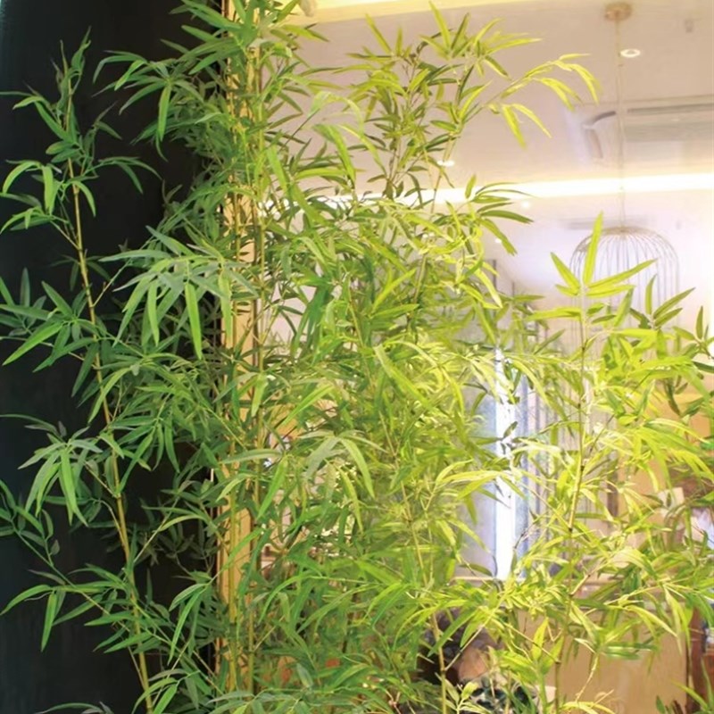 仿真竹子室内装饰假竹子隔断屏风挡墙造景室外装饰竹盆栽加密绿植