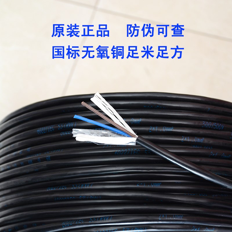 国标RVV电源线2*1.0 RVVP屏蔽电缆 天诚品牌电工用护套线 加厚防
