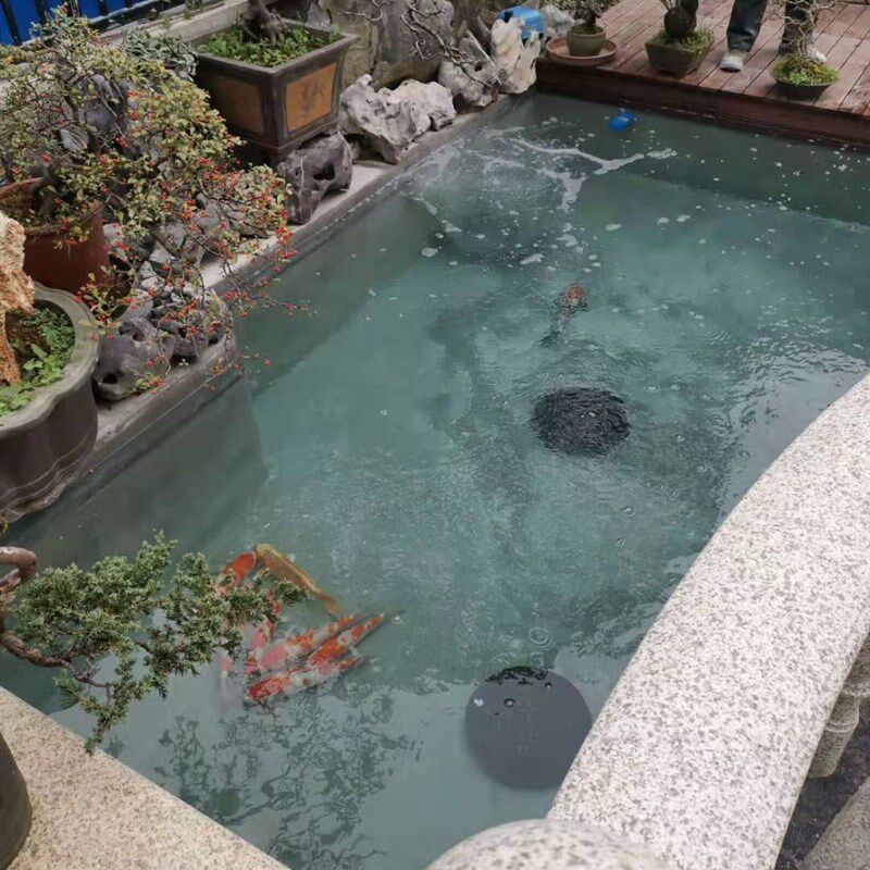 锦鲤鱼池水池底排口盖排水口盖水族过滤鱼池专用排污口盖池底飞碟