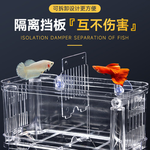 鱼缸多功能隔离网水族箱隔离盒板孵化盒大号孵化器鱼盒孔雀繁殖
