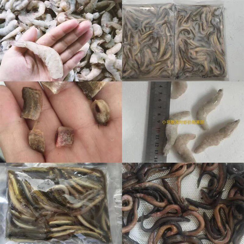 包邮冷冻泥鳅单冻虾仁河虾麦穗鱼食新鲜观赏鱼龙鱼虎鱼魟鱼龟饲料