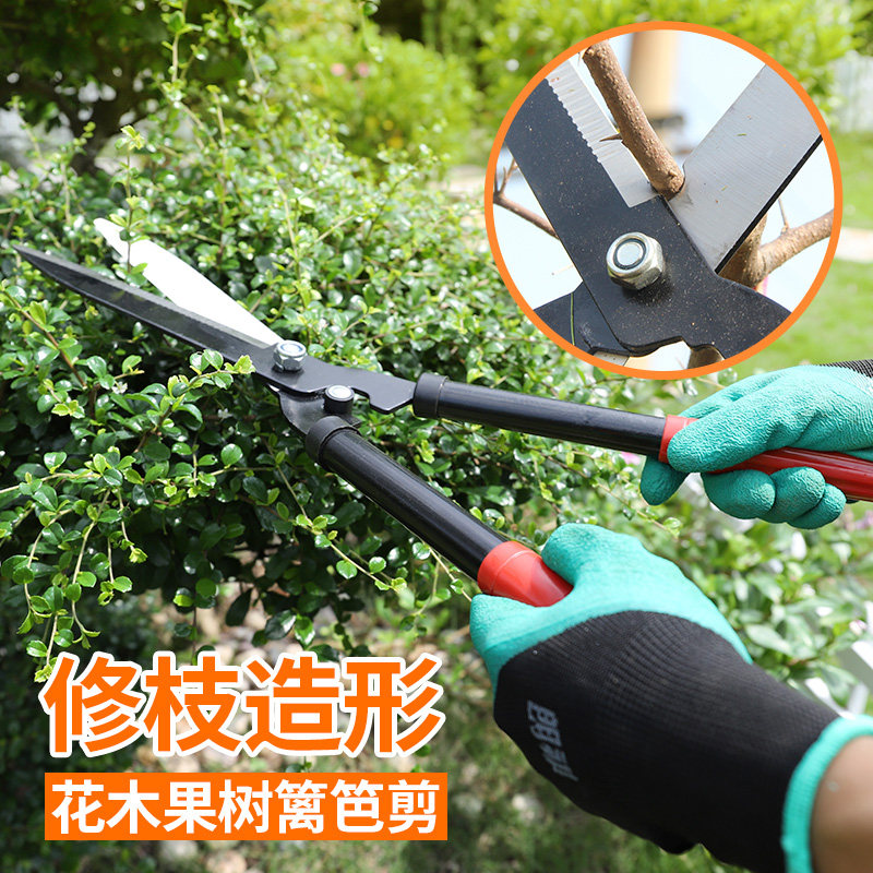 朗祺园艺工具大花剪修枝大剪刀修剪花木果树枝草坪绿篱剪子园林剪图片