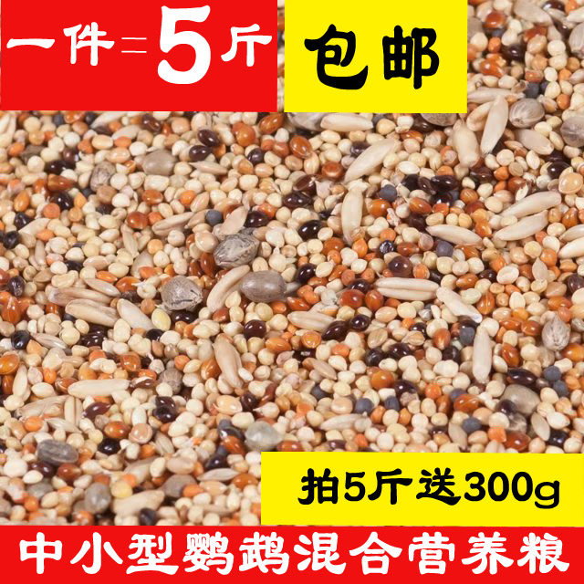精品中小型鹦鹉大头虎皮棕头黄桃牡丹饲料鸟粮混合粮 5斤装包邮