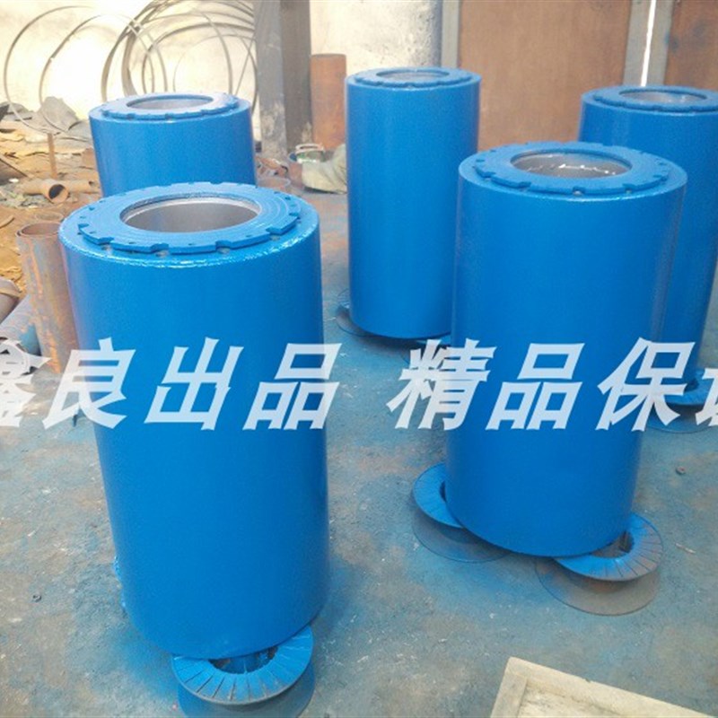 水锤消除器 水锤吸纳器 活塞式吸纳器 胶胆式水锤吸纳器 物美价优