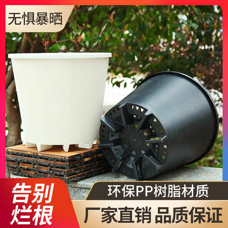 小果汀简约塑料硬质透气加厚镂空6加仑绣球蓝莓无花果树绿植盆栽