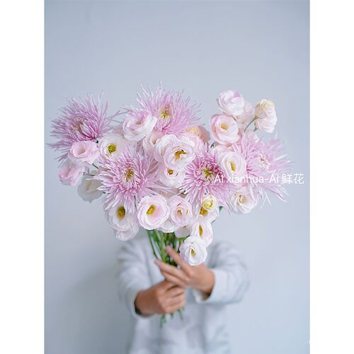 仙气浅粉温柔系粉红泡泡组合花束插花水培云南直发花期长送人送花