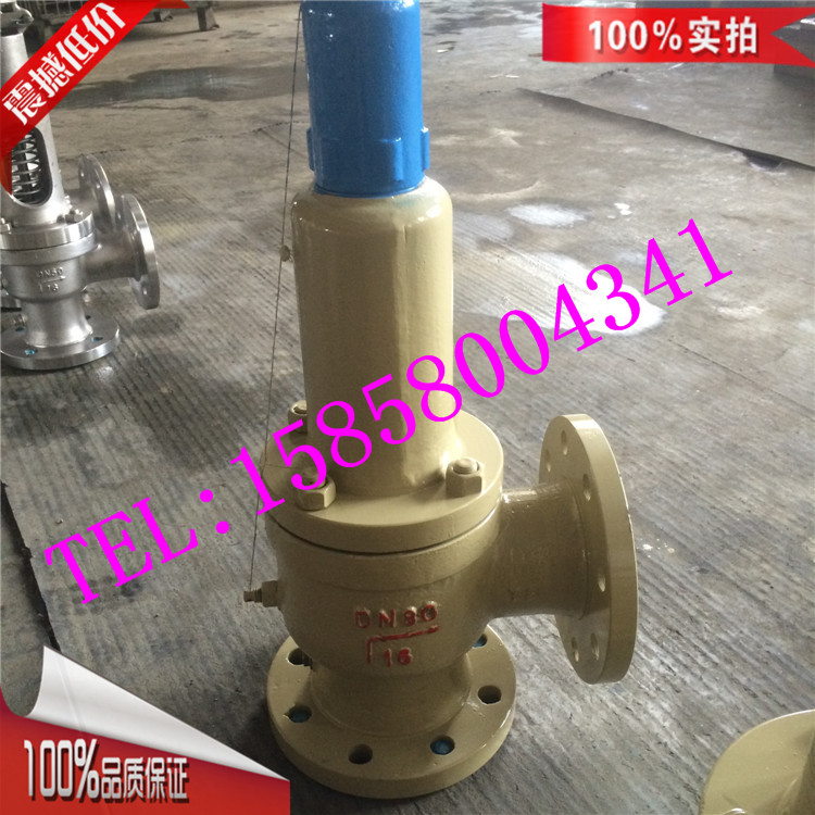 WA42Y-100C安全阀 波纹管平衡式铸钢安全阀 DN80/100安全阀