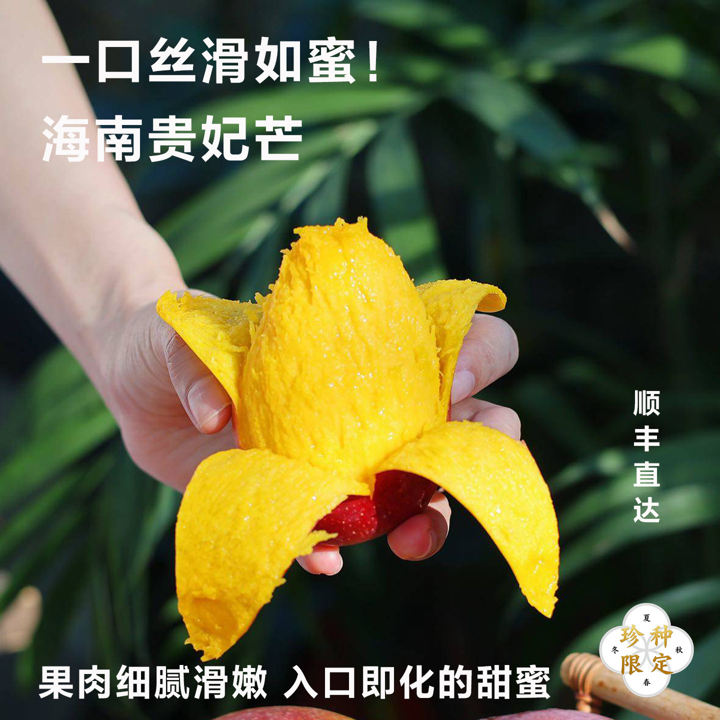 【顺丰包邮】树上熟海南贵妃芒新芒果