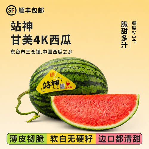 站神甘美4K西瓜整箱大西瓜脆甜多汁当季水果江苏东台站神顺丰包邮
