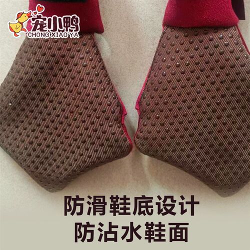 宠物鸭鞋子柯尔鸭鞋鹅鞋靴子四季透气防滑脏水宠物鞋胶套保护脚掌