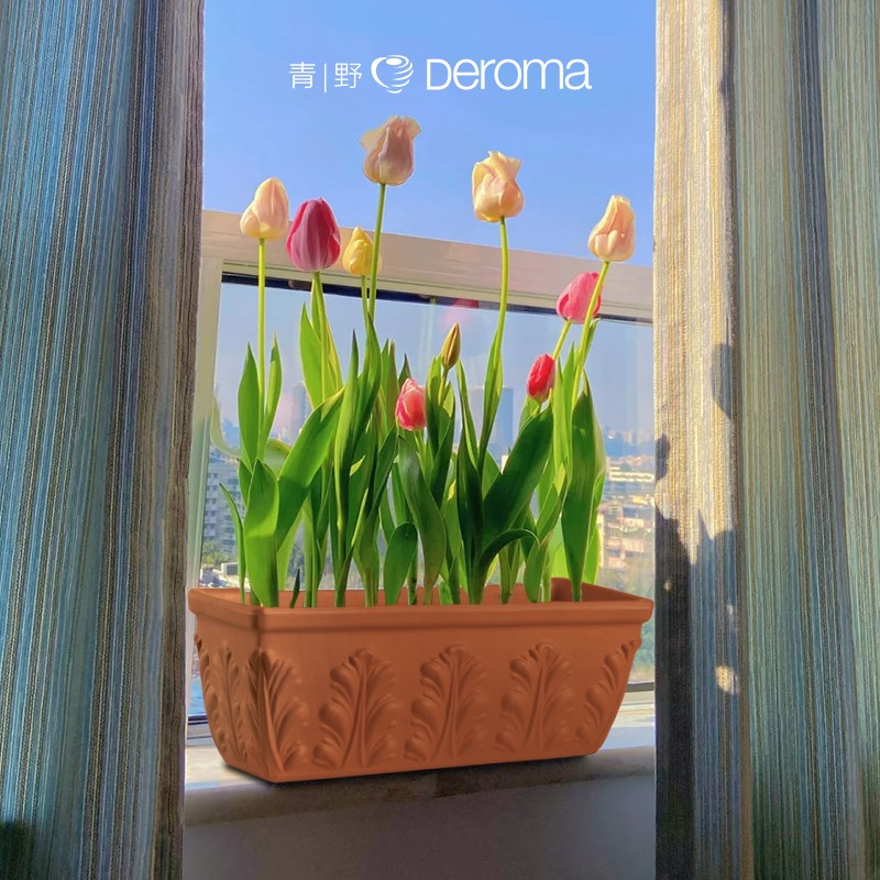 Deroma 帝罗马 北欧设计长方形花纹红陶盆系列室内家居陶土花盆