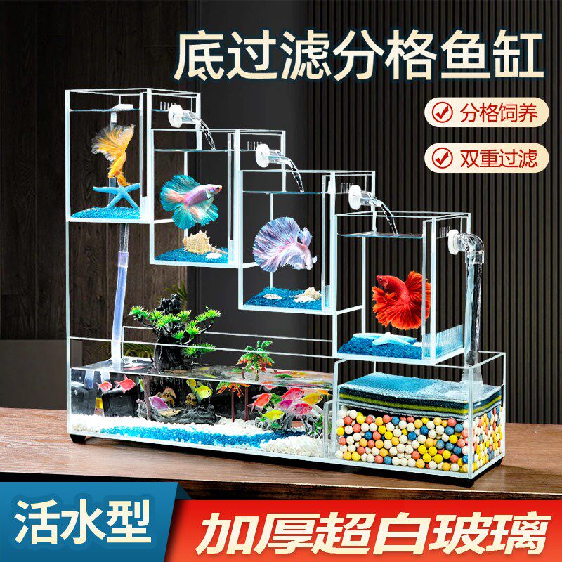 超白玻璃斗鱼缸免换水生态设计 多格底部过滤小型独立式鱼缸 适用