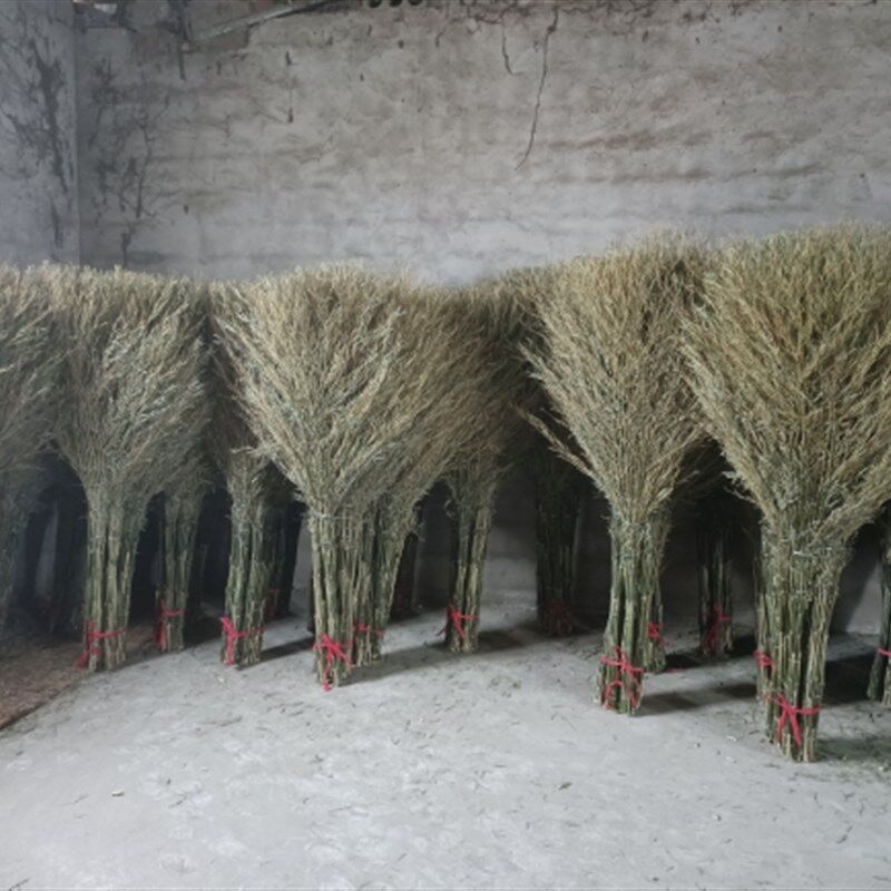 竹扫把户外专用竹扫帚扫院大扫把环卫学校工厂老式竹子扫把厂