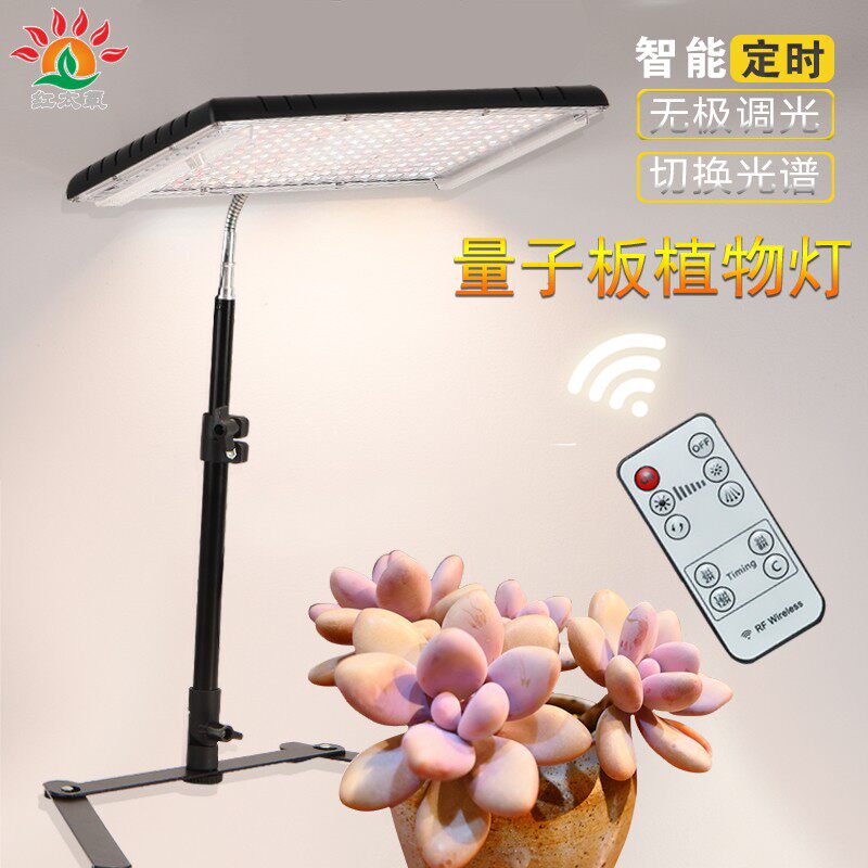 智能量子板植物灯调光遥控定时低压家用绿植多肉全光谱生长补光灯图片
