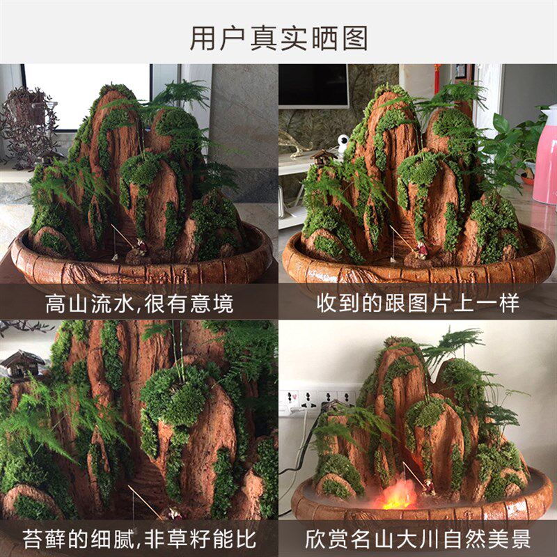 养好发货天都雄姿假山盆景吸水造景石上水小盆栽天然植物室内摆件