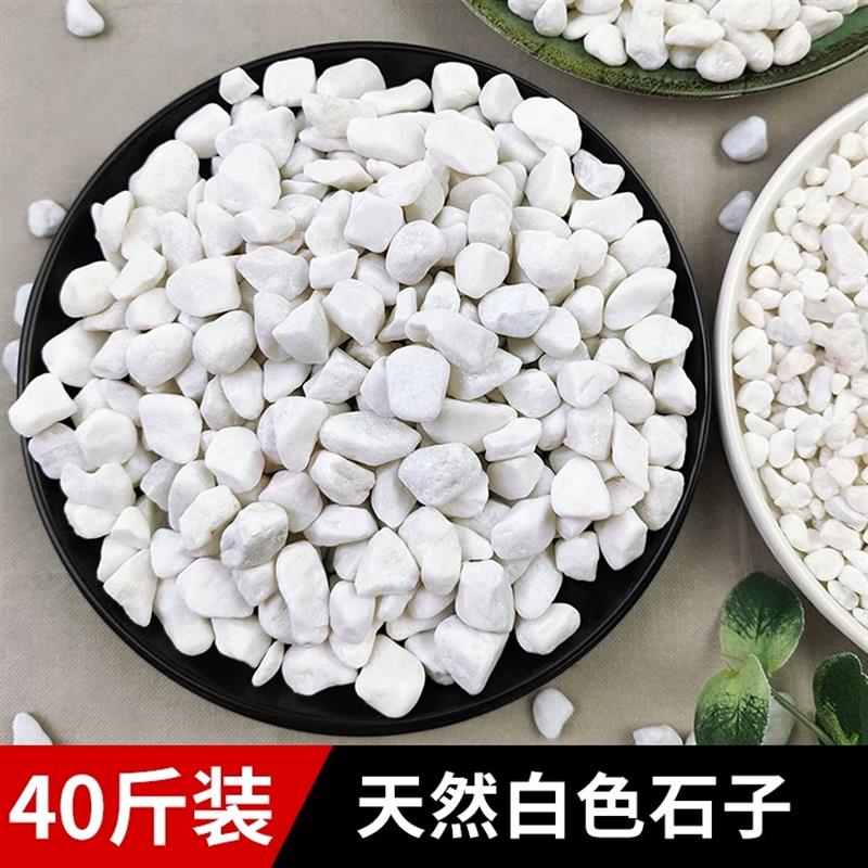 江西白石子石头大鹅卵石庭院铺路铺地小白石头园林枯山水白石子