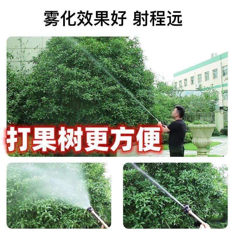 手提式电动喷雾器农用锂电池抽水双泵机浇菜大功率弥雾机小型