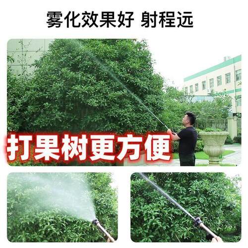 手提式电动喷雾器农用锂电池抽水双泵机浇菜大功率弥雾机小型