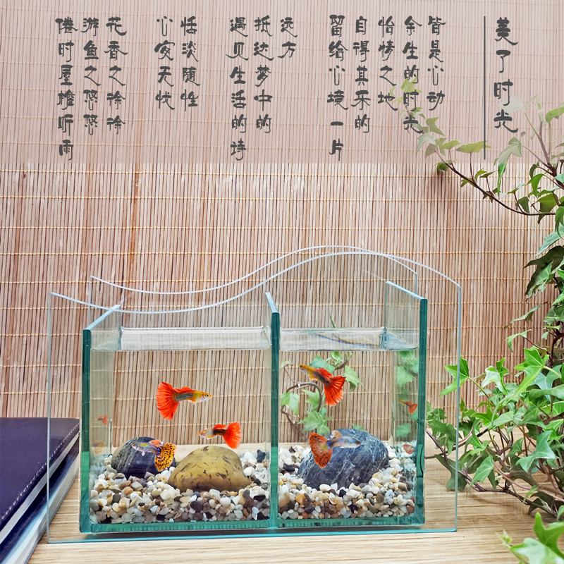 桌面鱼缸玻璃鱼缸办公室创意小型迷你生态水族箱小鱼缸双格斗鱼缸