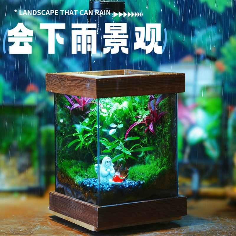 苔藓微景观落雨造景实木雨林缸办公桌面绿植盆景懒人好养护礼物