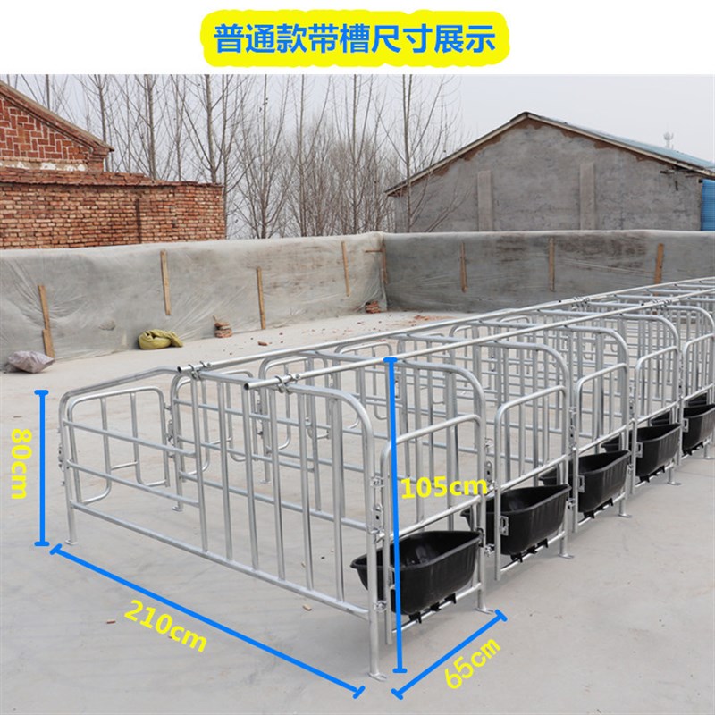 母猪位定位栏单体栏猪用限位栏十个猪位带食槽限位栏养猪设备器械