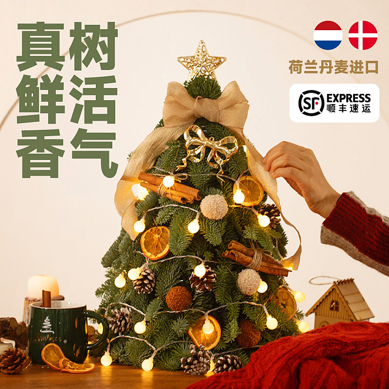进口新鲜诺贝松圣诞树真树小型家用迷你桌面摆件圣诞节装饰品套装