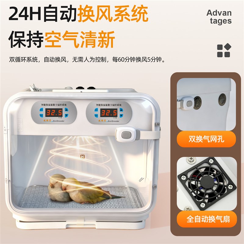 鹦鹉保温箱幼鸟专用雏鸟恒温过冬玄凤专用风暖育雏小型半毛成鸟