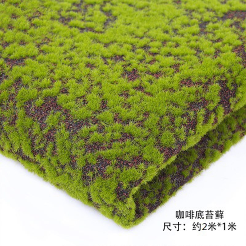 仿真苔藓植物墙面草皮造景装饰背景永生白发藓大灰藓室内绿植景观
