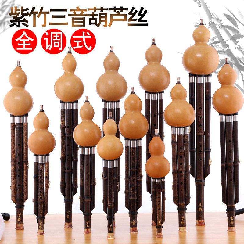葫芦丝乐器小F/D/C调降B/A/G大F/E/D大c调儿童成人初学者专业演奏