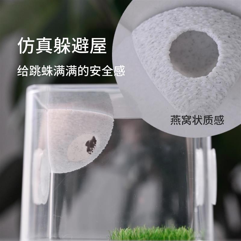 跳蛛饲养盒佛罗里达跳蛛饲养盒蜘蛛饲养盒佛跳饲养盒跳蛛生态盒