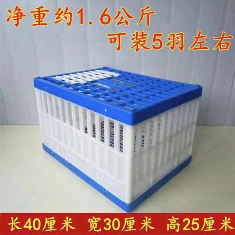 鸽具/放飞笼/训放笼/报道笼/信鸽塑料笼/鸽子笼/信鸽笼/包邮