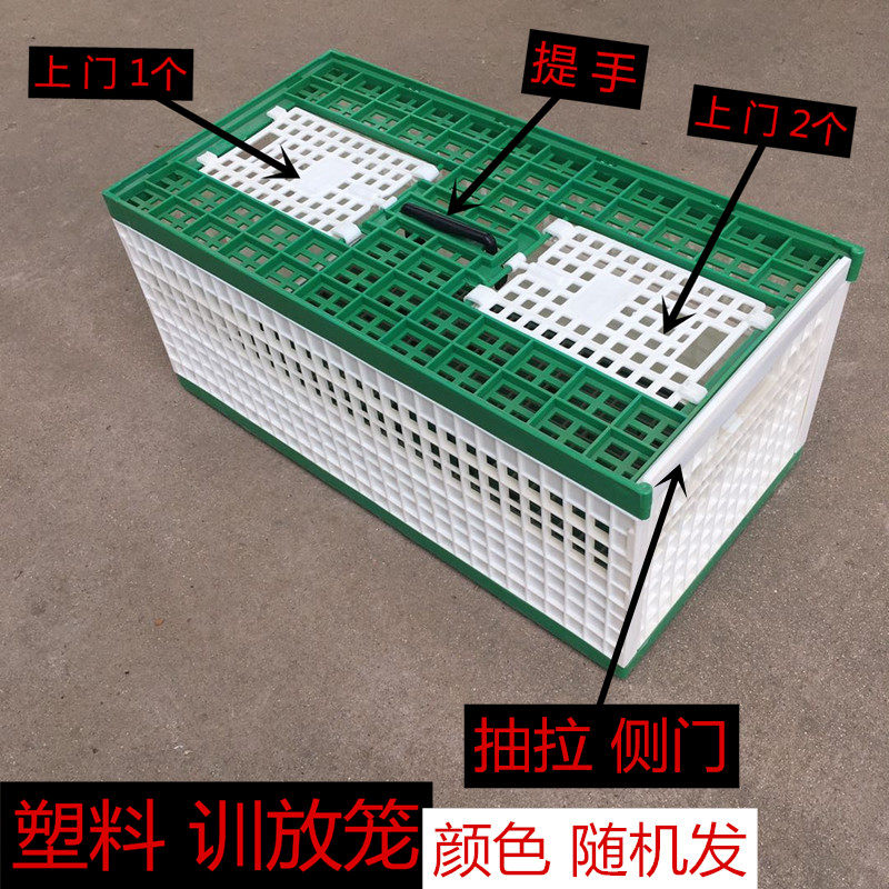 信鸽用品鸽具鸽子放飞笼训放笼折叠赛鸽笼木制鸽子笼比赛笼训鸽笼
