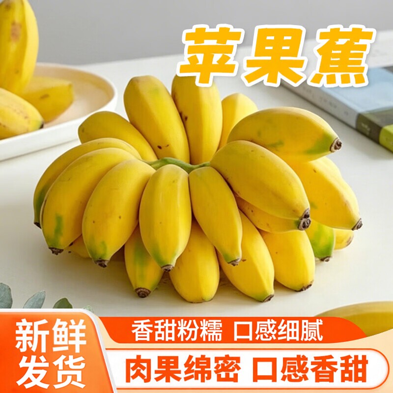 正宗广西苹果蕉新鲜香糯香蕉米蕉芭蕉苹果蜜蕉当季水果自然成熟蕉