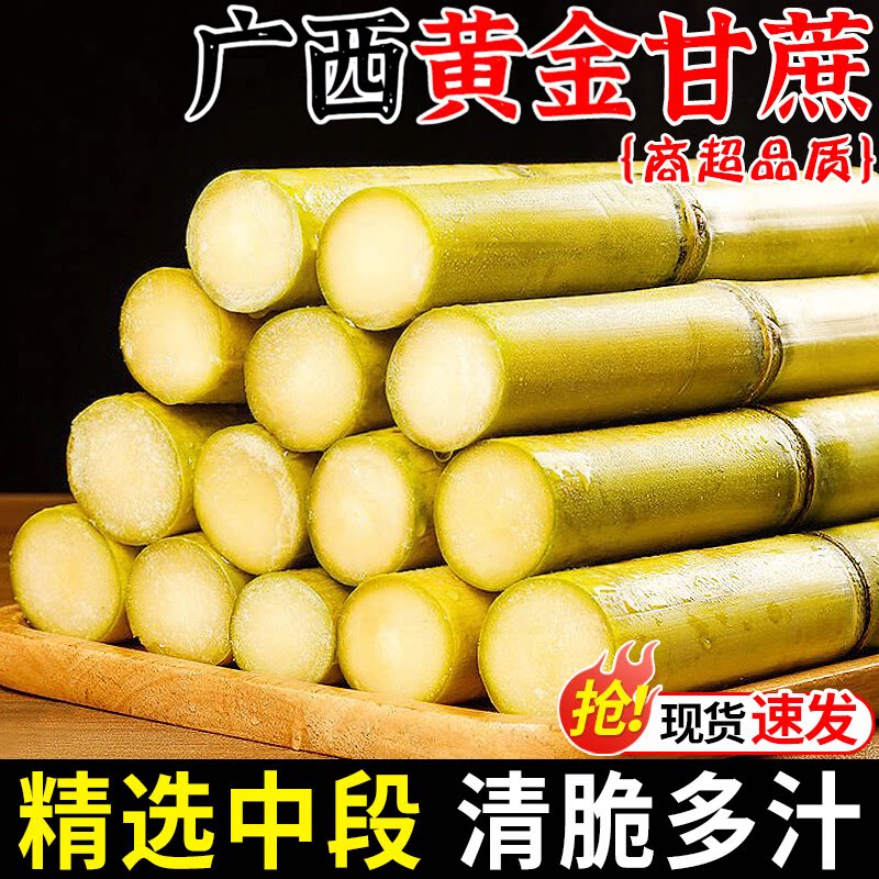 正宗广西黄金甘蔗新鲜脆甜现砍黄金甘蔗脆甜精选中段黄皮甘蔗水果