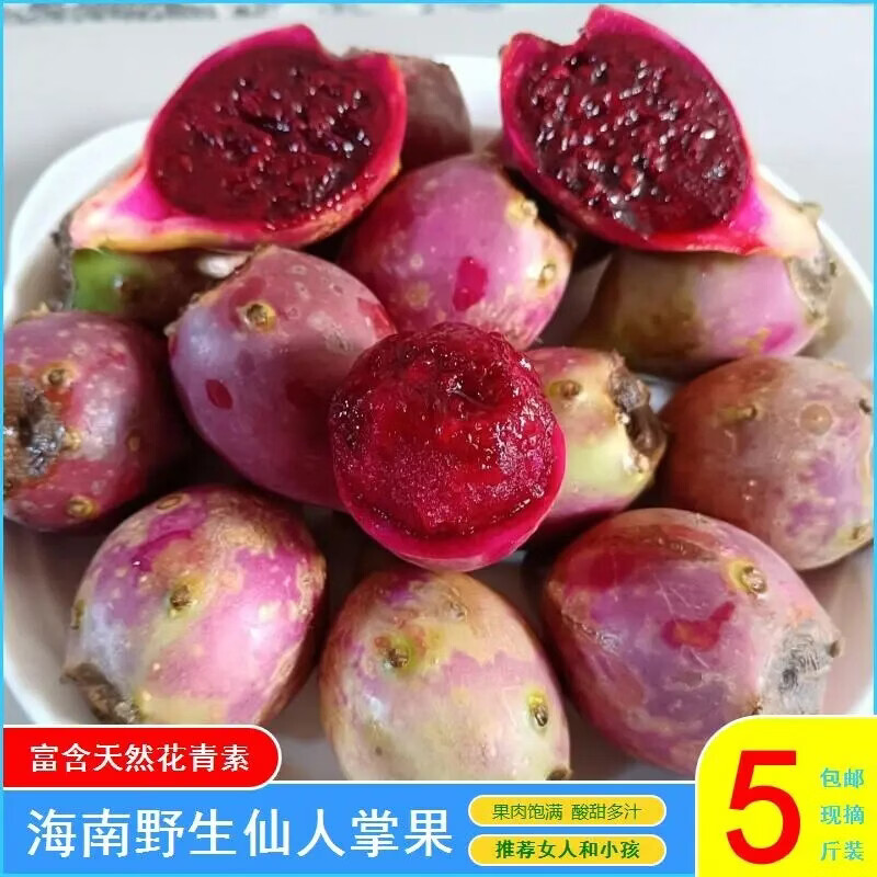 海南仙人掌果实花青素水果新鲜红心食用仙人掌果大小红绿皮随机发