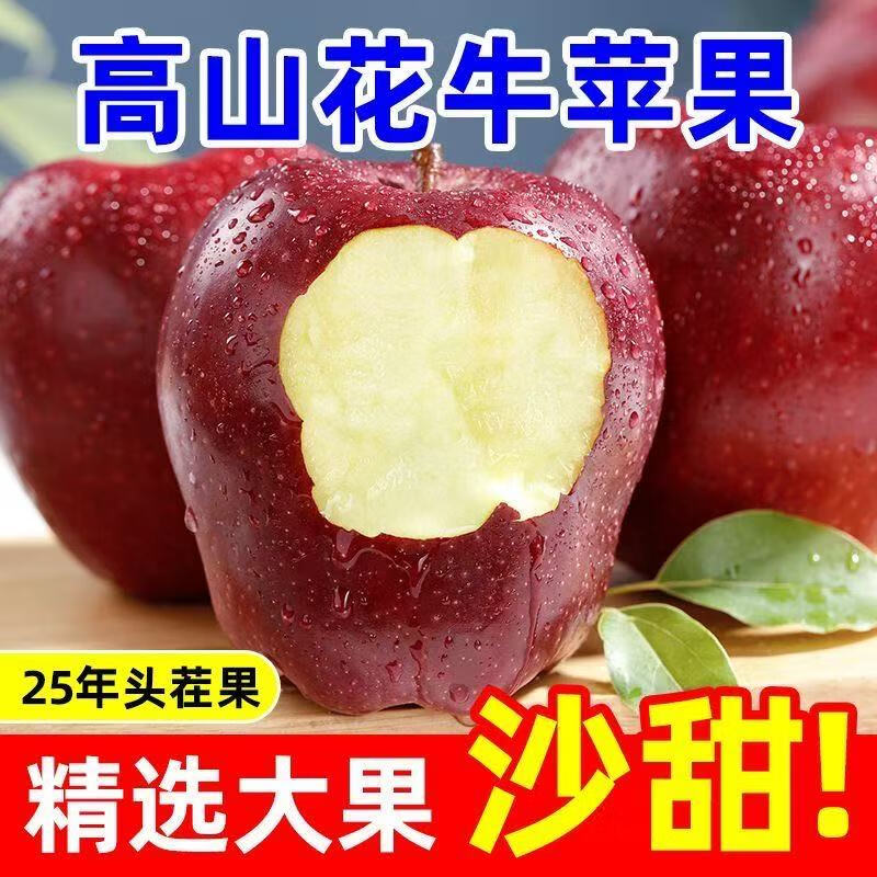 正宗甘肃天水花牛苹果新鲜粉面水果当季现摘果蛇红宝宝老人可刮泥