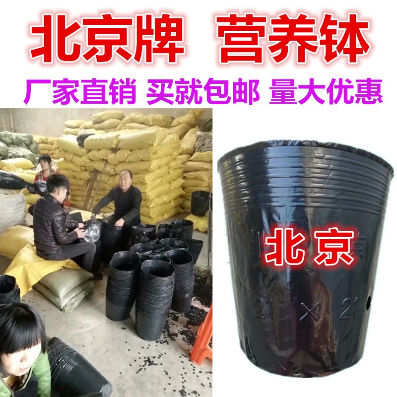 营养钵厂家直销育苗盆一次性塑料农用黑色育秧盆西瓜