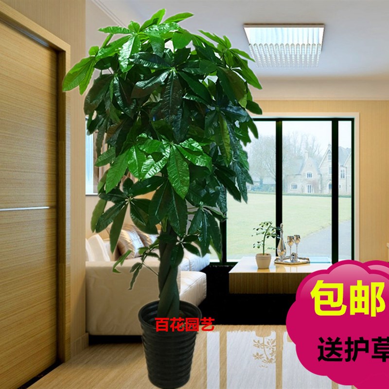 假树发财树仿真植物落地盆栽大型客厅盆景假花塑料花装饰仿真绿植