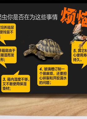亚克力陆龟箱爬宠虫箱防水槽托盘防潮防湿爬宠蜥蜴刺猬木箱防湿
