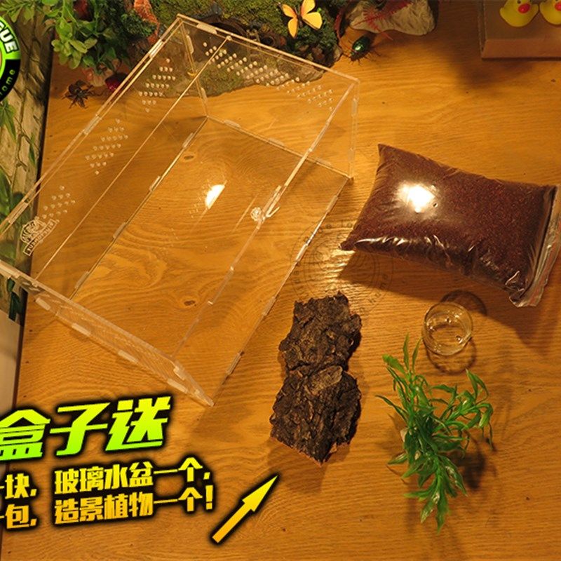 爬宠饲养盒亚克力爬虫箱蜘蛛豹纹守宫蜥蜴角蛙甲虫防生态造景箱