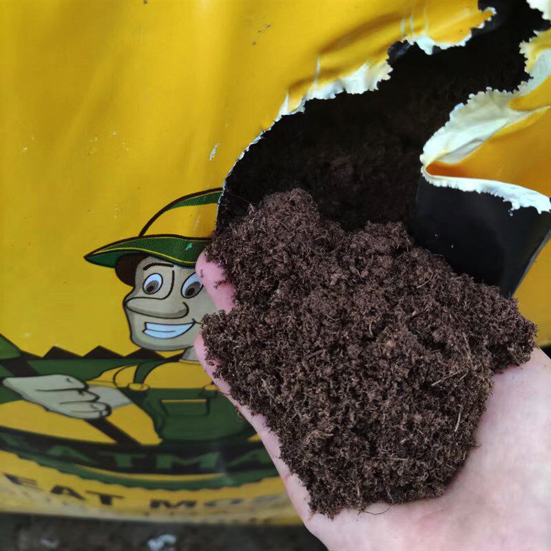 进口泥炭土拉脱维亚大整包育苗扦插播种多肉植物月季兰花通用花土