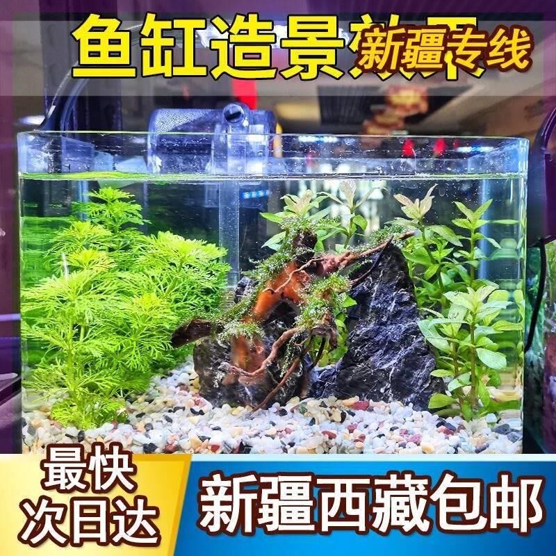 新疆西藏包邮天然五彩石雨花石多肉花盆铺面养花养鱼彩色石子鱼缸