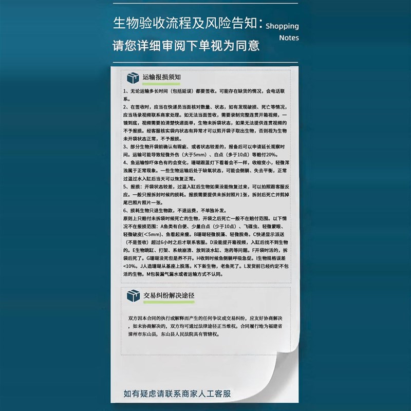 蓝嘴黄新娘 活体海水鱼神仙鱼定水海水鱼缸观赏鱼快递发货包活